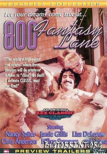800 Fantasy Lane / 800 Фантазий Лейн /Desiree Cousteau, Serena, Jamie Gillis